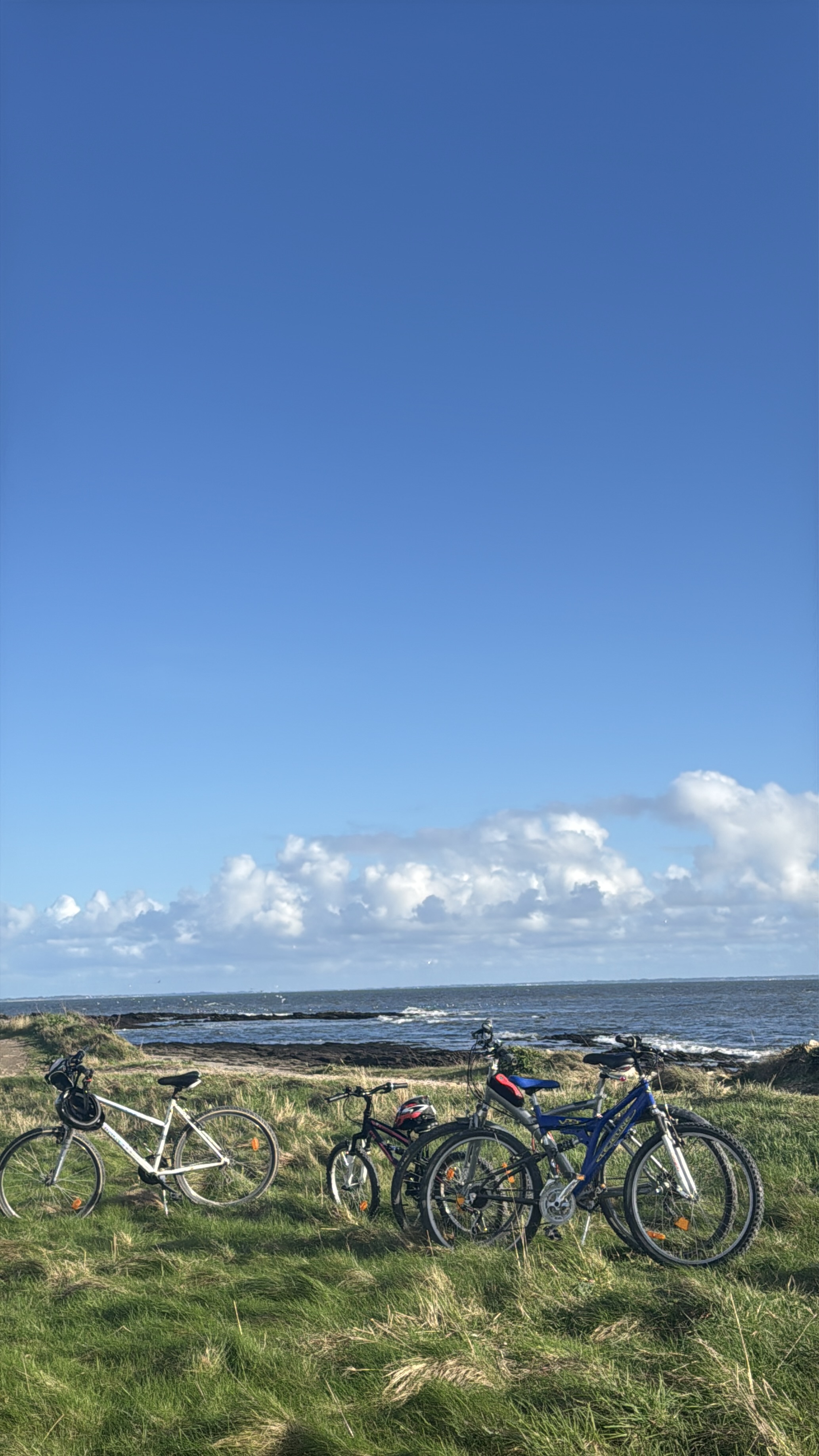 Vélos au bord de la mer en Bretagne